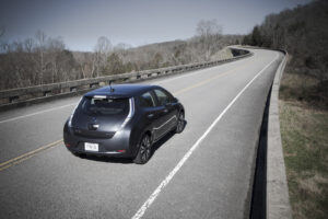 2013LEAF_017-source-300x200 (1)