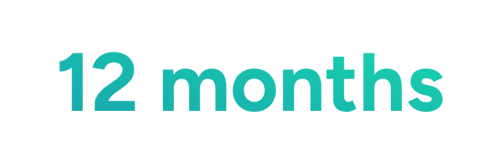 12 months