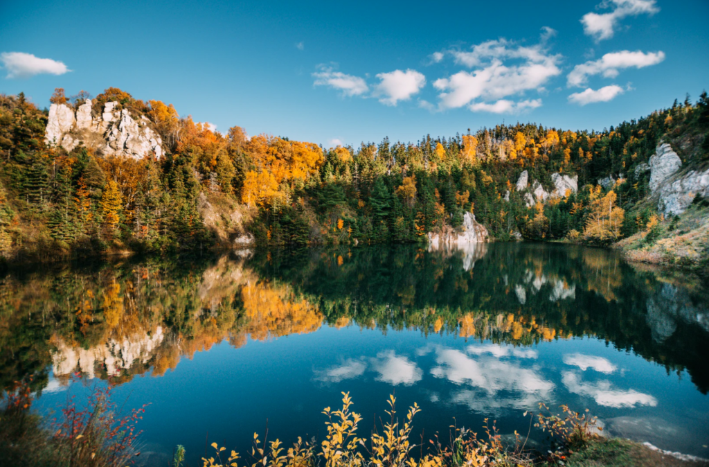 Best Electric Scenic Drives to See Fall Foliage - Cape Breton - Go EVerywhere