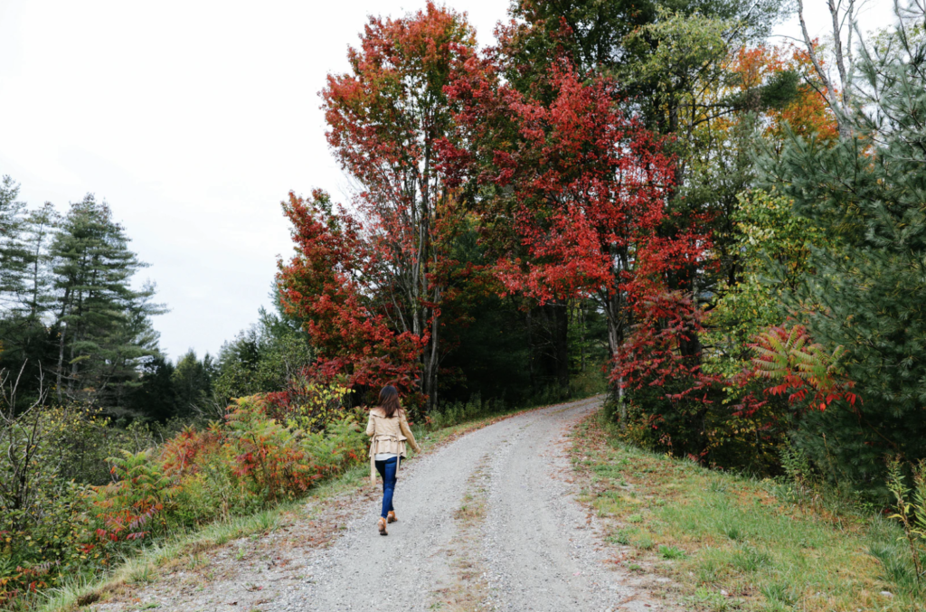 Go EVerywhere - Best Electric Scenic Drives to See Fall Foliage - Vermont