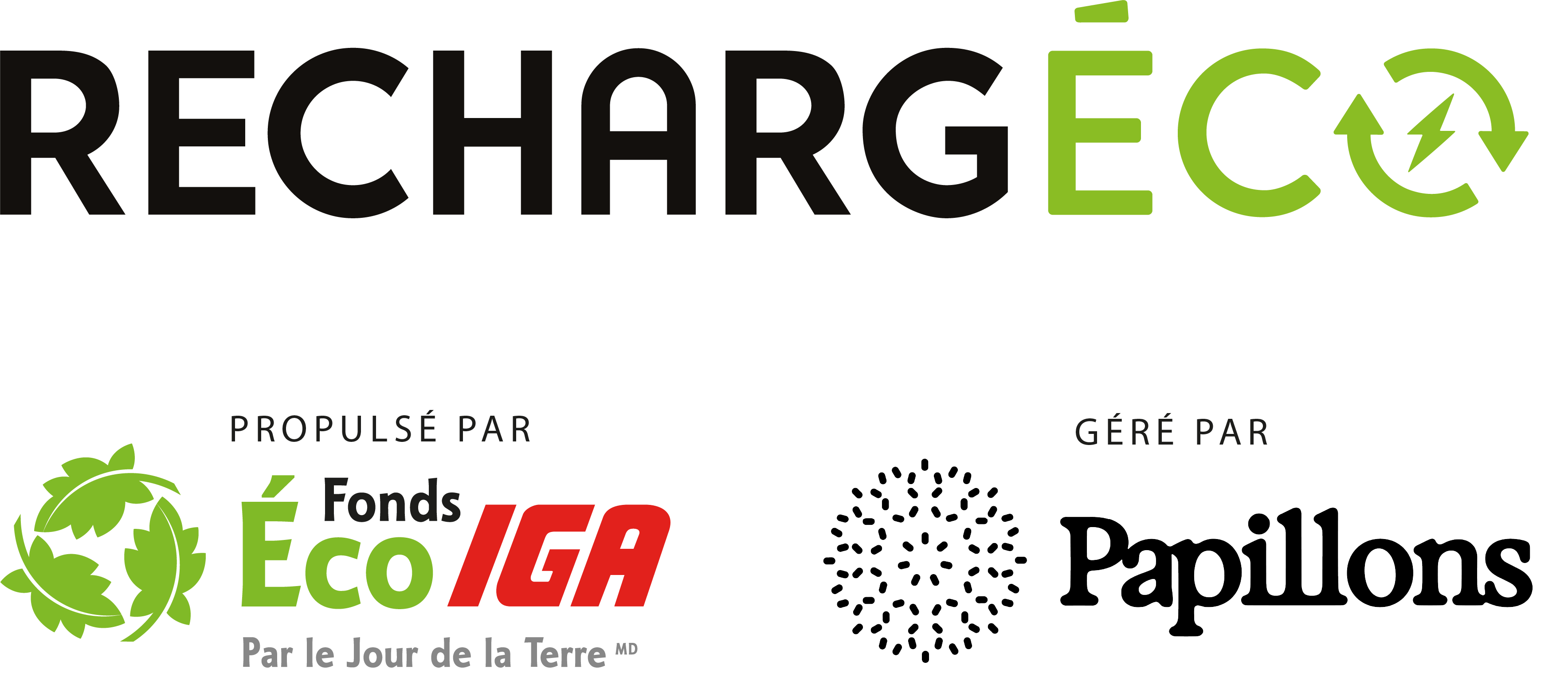 FR-RechargEco-FEIGA-PAPI_logo noir