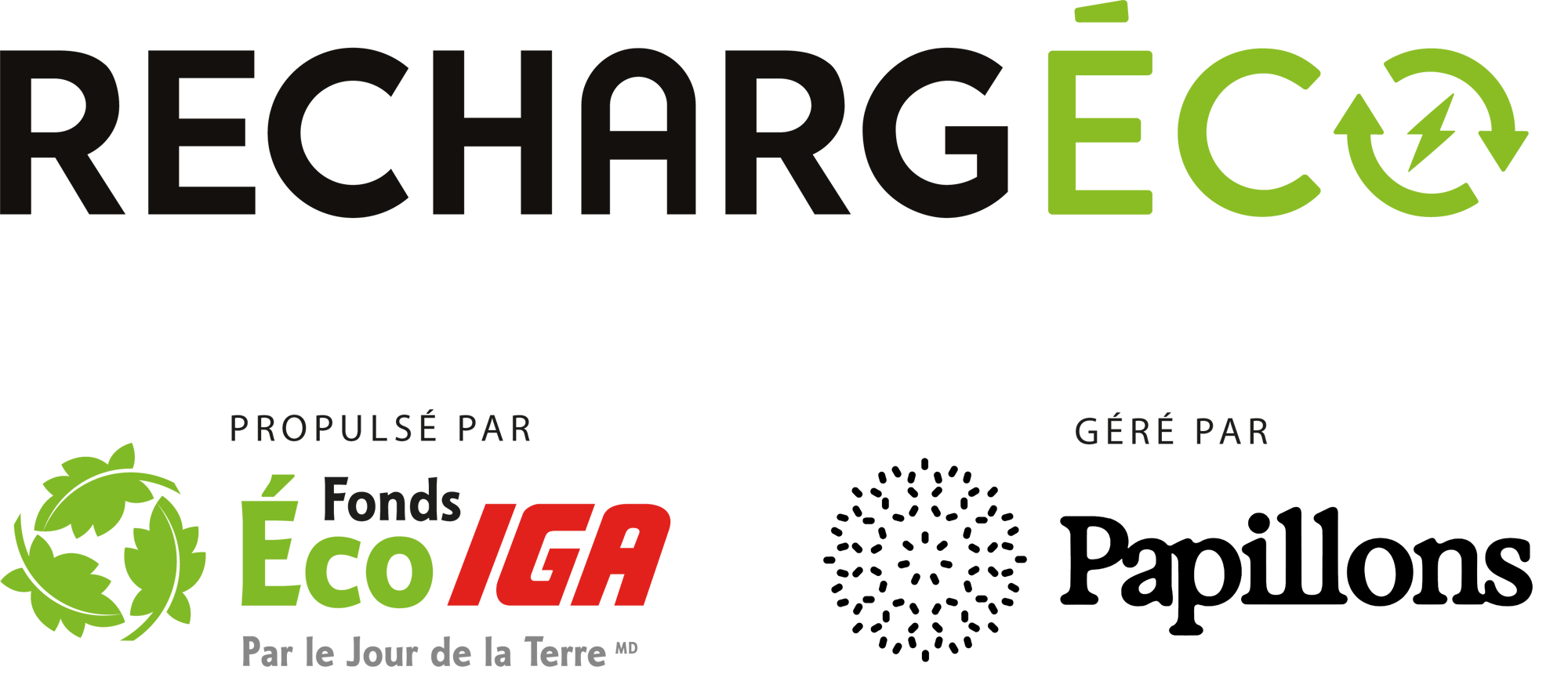 FR-RechargEco-FEIGA-PAPI_logo noir