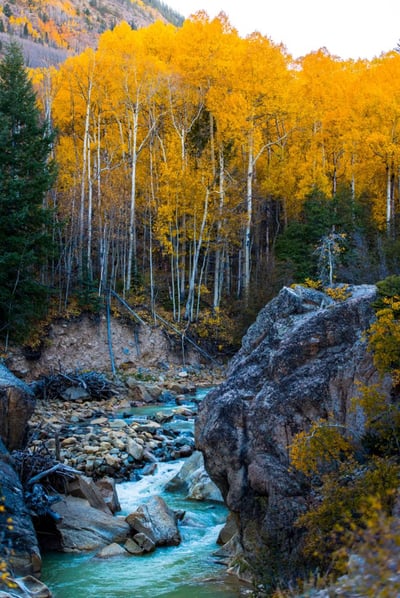 Go EVerywhere - Electric Scenic Drive in Aspen