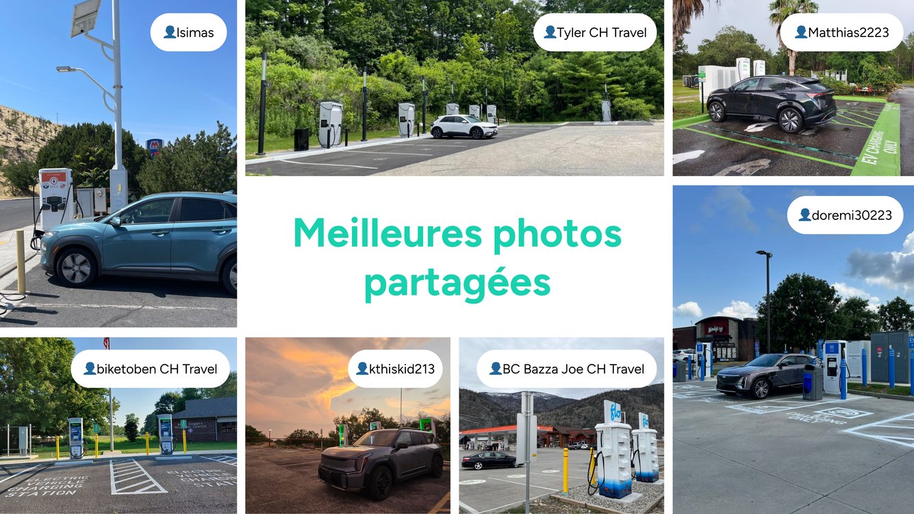 Meilleures photos 2025