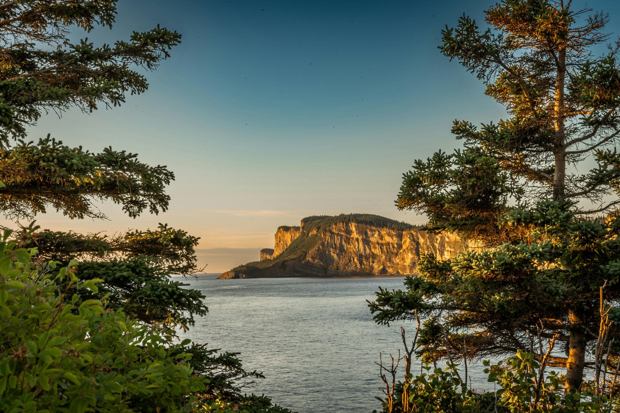 pexels-aperture-17393796