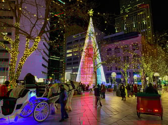 Grand sapin de Noël illuminé au centre-ville de Denver, entouré de passant et de calèches sous les lumières.