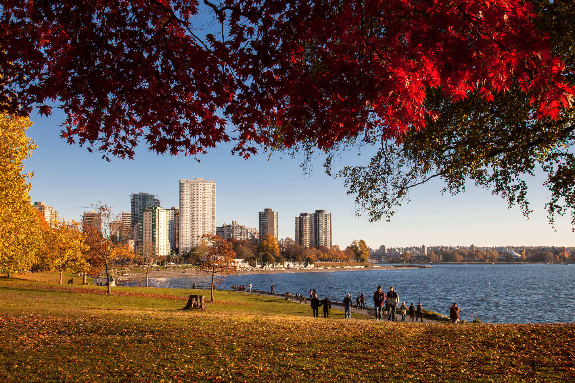  Vancouver waterfront view from Stanley Park