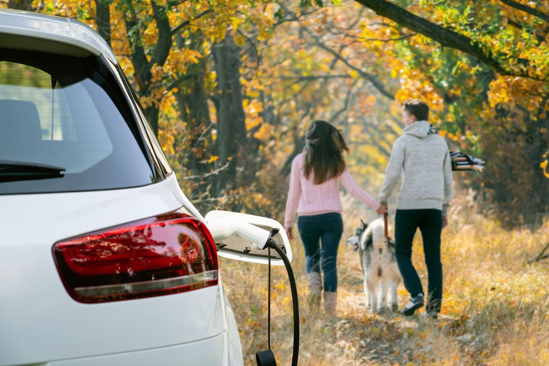 Couple marchant en forêt avec leur chien pendant que leur voiture électrique se recharge.