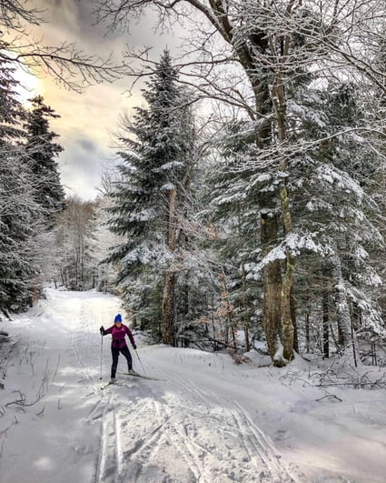 Stations-de-ski-accessibles-en-VÉ-–-ChargeHub-Le-Cumming-Nature-Center-819x1024