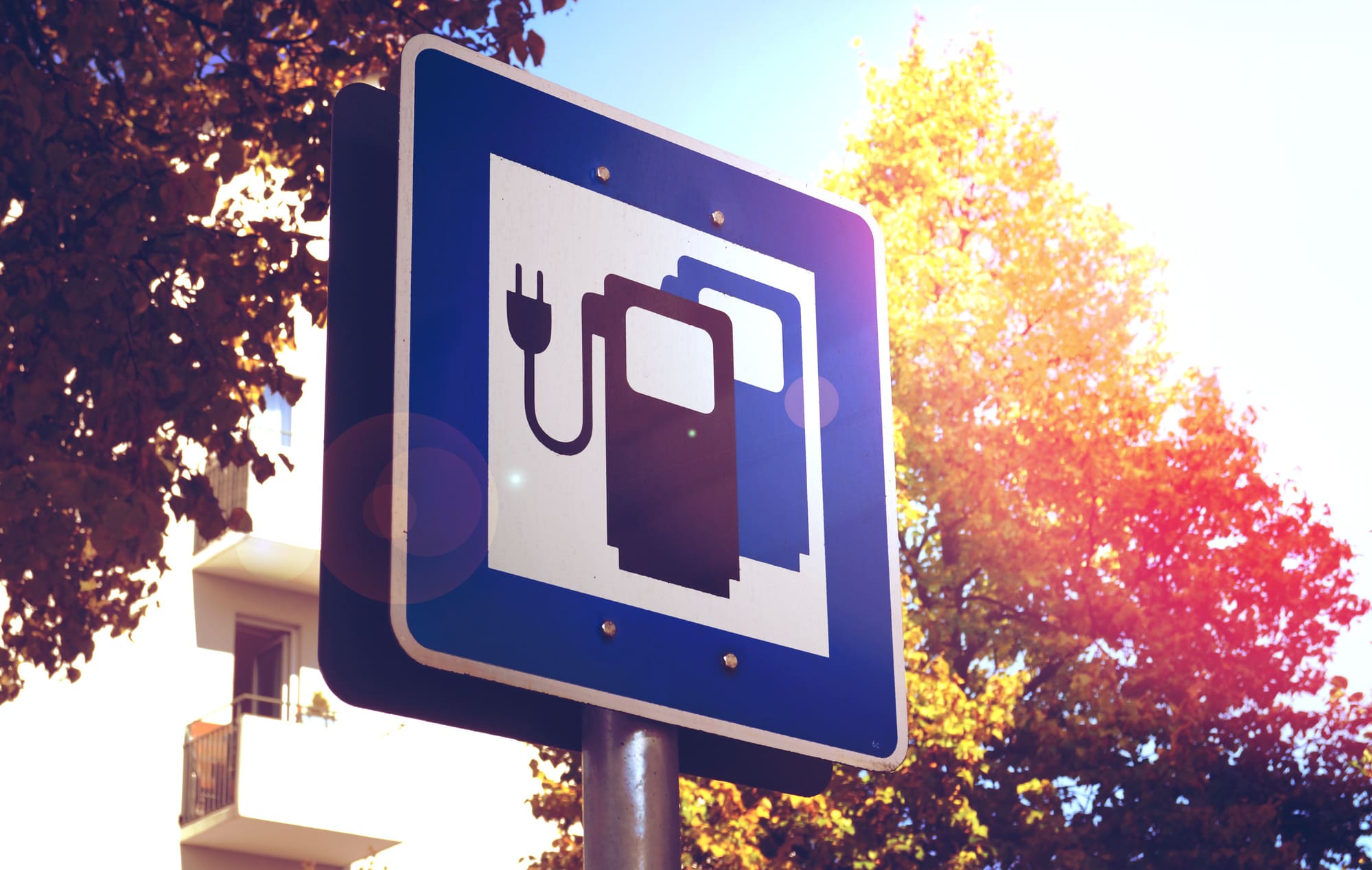 Electric vehicle charging station panel compatible with various networks and connectors